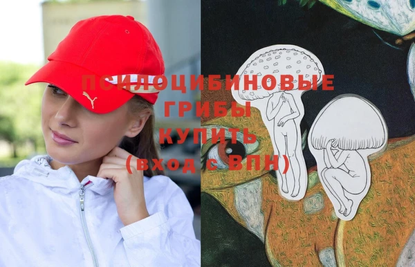 jwh Алзамай