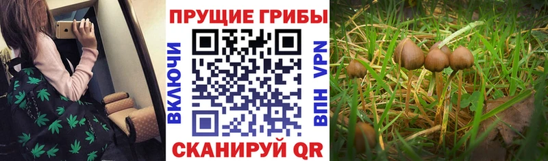 Галлюциногенные грибы MAGIC MUSHROOMS Урай