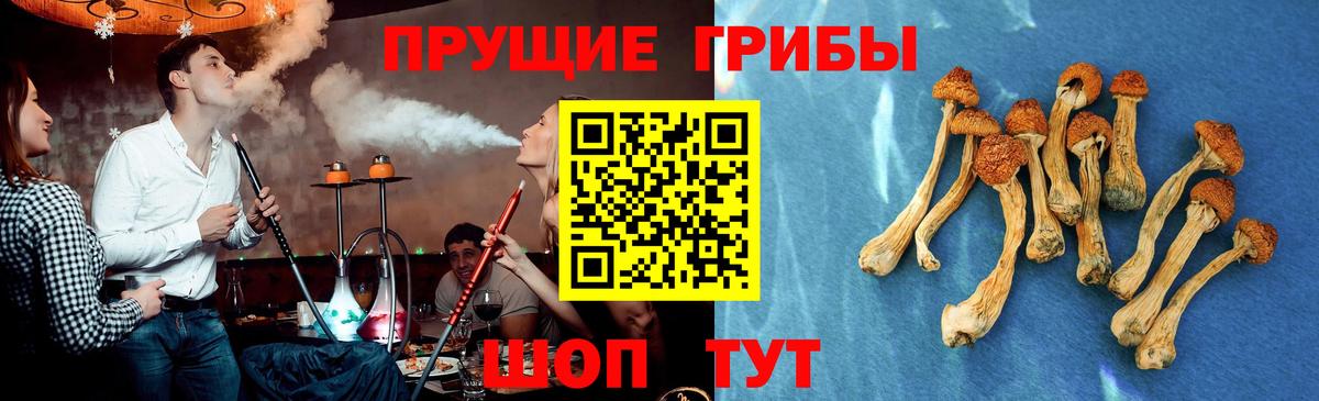 Урай  Псилоцибиновые грибы мицелий  Вход с VPN  Галлюциногенные грибы Cubensis 